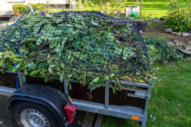 Best Construction Debris Removal  in Coleytown, CT